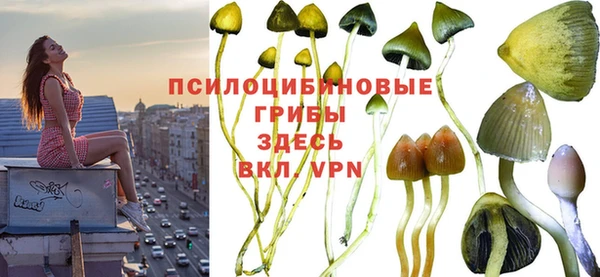 Альфа ПВП Бронницы