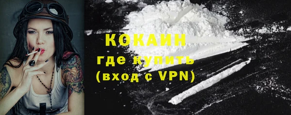 прущая мука Бородино