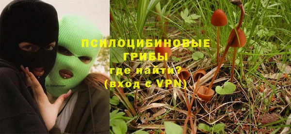 сатива Бугульма