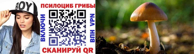 купить   Крым  кракен зеркало  Псилоцибиновые грибы мухоморы 